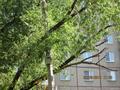 Дерево повисло на проводах на ул. 50 лет ВЛКСМ во дворе домов 31а и 33а.